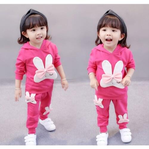 2020 New Baby Girls Clothes Sets Outfits Hooded Sweatshirt + Pants Tracksuit Newborn Infant Baby Two-piece Set Costume Clothes