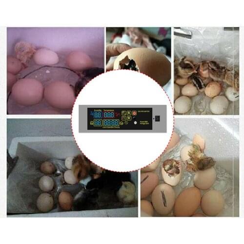 HTMC-5 Egg Incubator Controller Set DIY Mini Incubator Controller Constant Temperature Eggs Incubation Box Accessories