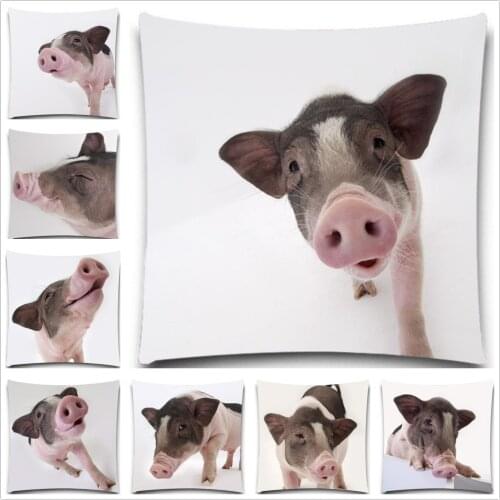 Amazing Black and white pig 2D print creative Pillow case Square cotton polyester cushion cover 5 size 9 style