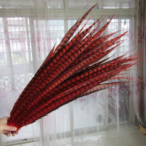 20Pcs/Lot Red Pheasant Feathers 25-30CM/10-12inches Natural Pheasant Tail Feathers For Crafts DIY Wedding Decorations Plumes
