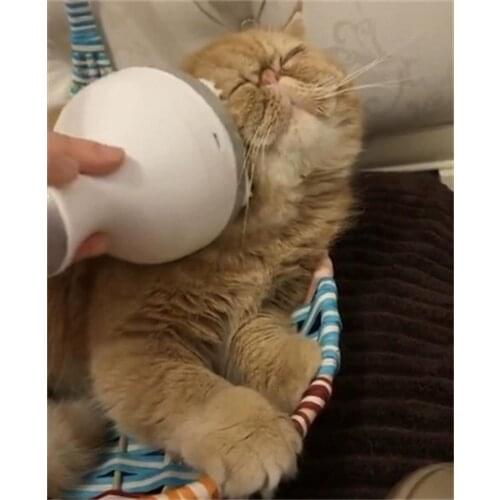 Pet Cats Dogs Paw Head Shiastu Massage Comfort Manual Grooming Supplies Home Electric Massager Roller Relaxation USB Charging