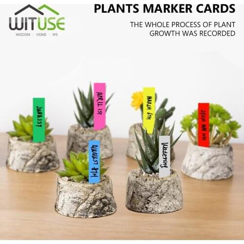 50/100 pcs Plant Tags Garden Nursery hanging Markers Convenient Plastic card classification Soil tool Paint Sticks Labels Blank