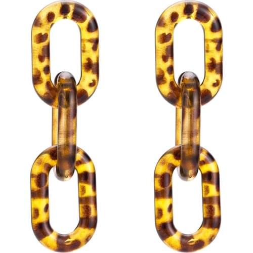 Leopard Transparent Hollow Geometric Dangle Earrings for Women Punk 2020 New Fashion Big Long Earrings ET615