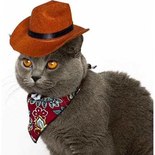 Creative Dog Hat Skin-friendly Cool Stylish Fabric Cat Cowboy Hat Puppy Cats Kitten Party Birthday Decor Accessories Pet Product