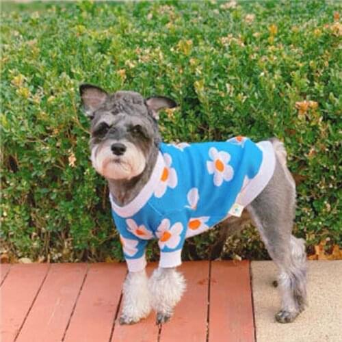 Puppy Clothes Pet Flower Shape Blue Sweater Autumn and Winter New French Bulldog Clothes Schnauzer Corgi