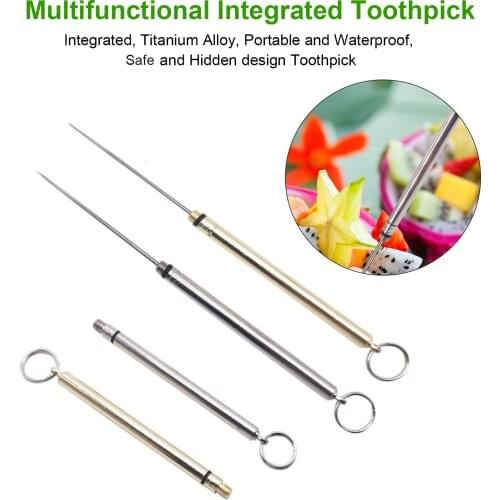 2pcs Multifunctional Toothpick Metal Travel Toothpick Portable Fruit Fork Tooth Cleaning Accessory with Holder Hot Sale