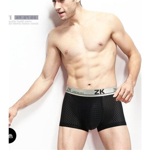 L-5XL ,4 pieces, mesh boxers, underwear, cool silk mens boxers, super breathable mens sexy thin underpants