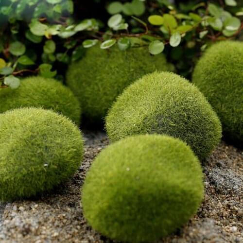 1Pc Micro Landscape Fairy Garden Miniature Decoration Ornament Artificial Fake Moss Lawn Mossy Stone Model Toy DIY Accessories
