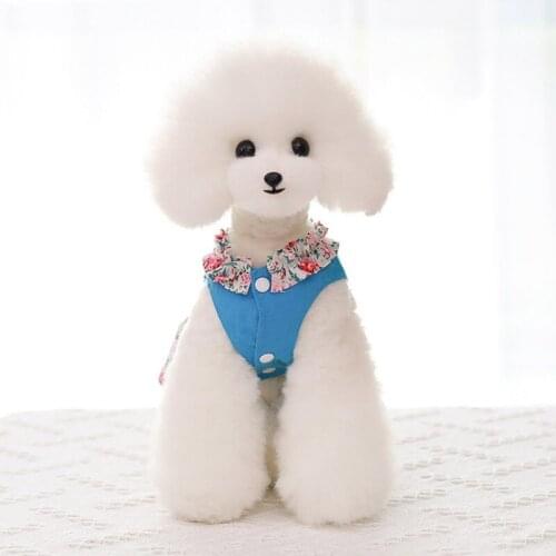 Beautiful Pet Dog Princess Dress With Traction Rope Puppy Printed Shirt Cool Summer Dogs Clothes Pets Costumes Pet supplies