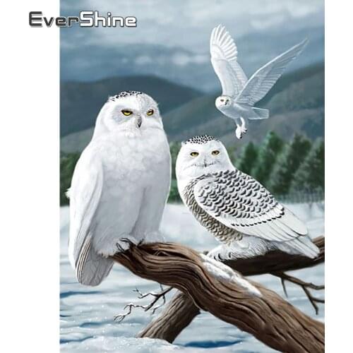 EverShine Diamond Painting Owl Cross Stitch Diamond Mosaic Animals Picture Rhinestones Winter Handmade Hobby Gift Home Decor