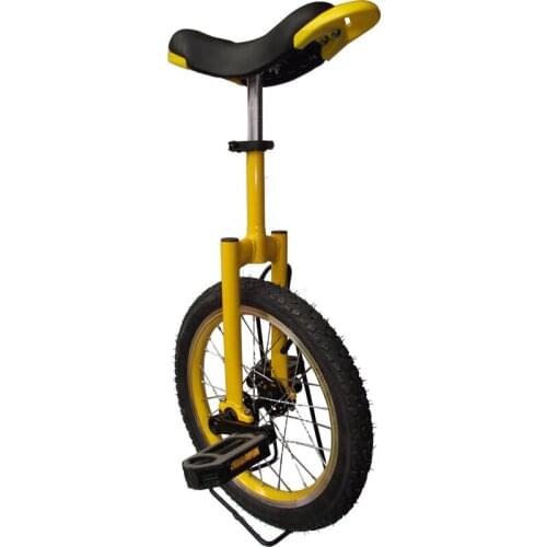Wheelbarrow Balance Bicycle Children Adult Single Wheel Fitness Scooter Acrobatic Single-wheel Lock
