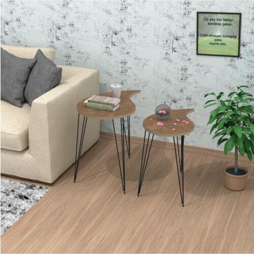 Modern Apple Larose Zigon Coffee table Mdfbyz 1li 50*35*35 coffe table