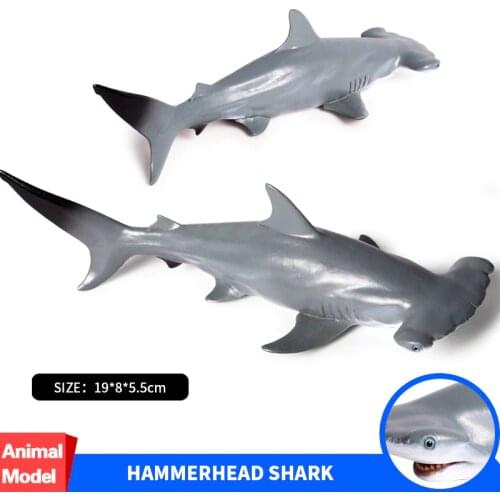 Oenux Sea Life Animals Hammerhead Shark Model Marine Animal Whale Shark Solid PVC Action Figures Collection Toy For Kids Gift
