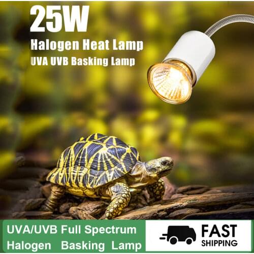 New 25W Halogen Heat Lamp UVA UVB Basking Lamp Heater Light Bulb for Reptiles Lizard Turtle Tortoise Aquarium EU/US Plug