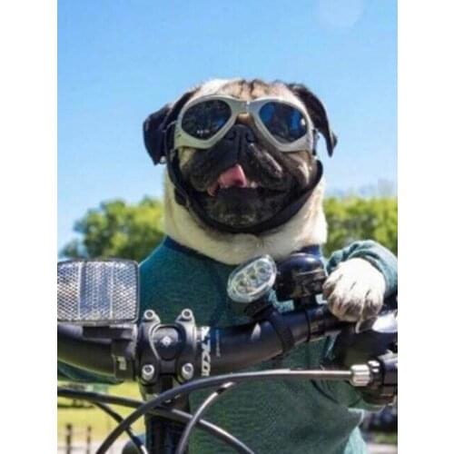 Pet Cat Sunglasses Waterproof Windproof Dog Goggles UV-resistant Puppy Kitten Photo Props Dress Up Accessories, 6 Colors