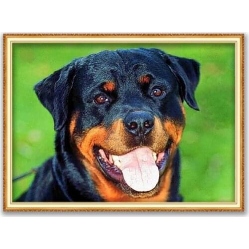 Animal Dog Rottweiler DIY 11CT Cross Stitch Embroidery Kits Needlework Craft Set Cotton Thread Printed Canvas Home Decoration