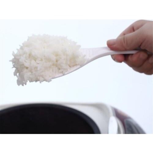 Studyset Rice Spoons