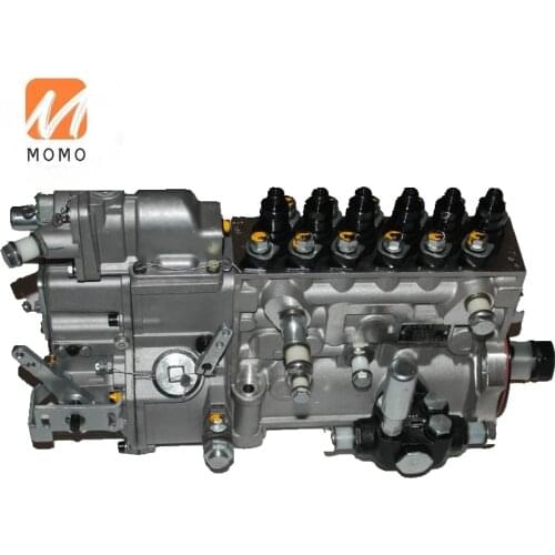 BH6P110 Fuel injection pump Shanghai C6121 diesel engine longbeng CP61Z-P61Z651+B for wheel loader engine