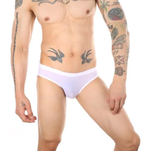 Mens Panties Sexy Ice Silk Briefs Men Underpants Transparent Low Waist U Pouch Underwear Ultra-thin Slips hombre