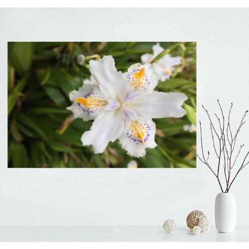Custom Iris L Flower Decorative Canvas Poster High Quality Home Decoration Wall Art Cloth Canvas Fabric Wall Poster Print