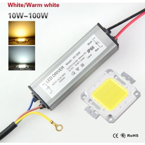 LED Chips 10W 20W 30W 50W 100W High Power COB LED lamp Chip Bulb with LED Driver For DIY Floodlight Spot light Lawn
