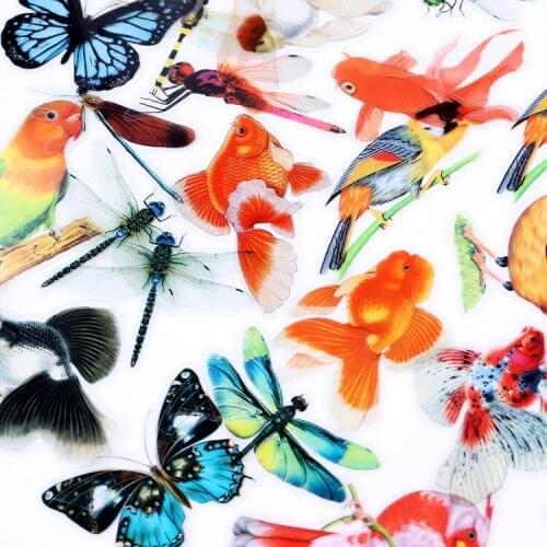 PET Transparent Bag Creative Butterfly Dragonfly Big Size Hand Account Diary Decoration Sticker