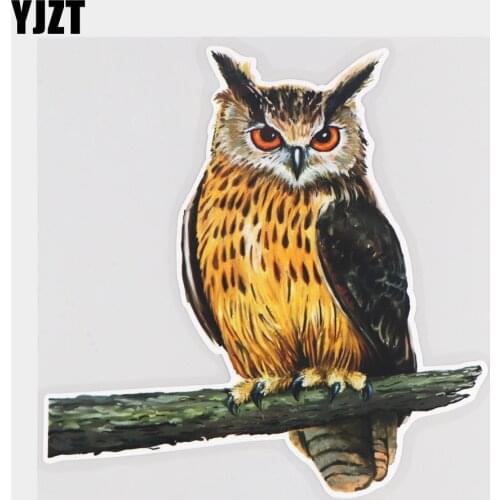 YJZT 16.2×16.8CM Painted Art Cartoon Owl Rear Windshield Decoration Car Stickers Vinyl Decals 21A-0588