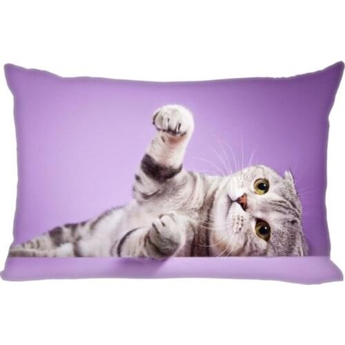 Scottish Fold Cat Double Sided Rectangle Pillow Covers Bedding Comfortable Cushion/Good For Sofa/Home/Car Pillow Cases