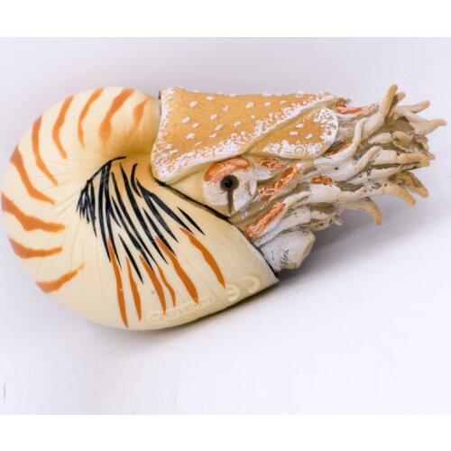2020 New CollectA Prehistoric Animals Ocean Nautilus pompilius Nature Educational Model PVC Plastic Figure #88907
