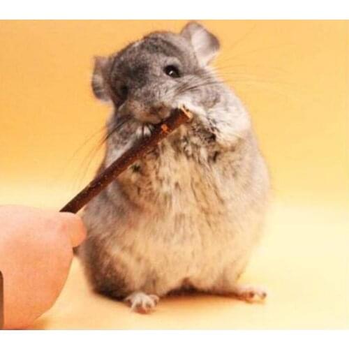 Natural 1000g Wood Chew Sticks Small Pets Rabbit Hamster Guinea Pig Rabbits Chinchillas Groundhog Rodent Animals