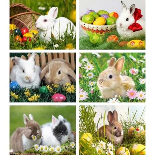 Evershine Animal Diamond Painting Full Square Drill Rabbit Rhinestone Pictures 5D DIY Mosaic Embroidery Full Set Decoration Home