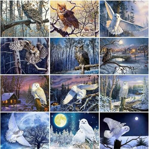 HUACAN 5D Diamond Painting Owl Full Square New Arrival Diamond Embroidery Animal Mosaic Winter Handicraft Home Decoration