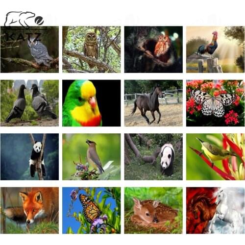 Parrot Animal Insect Hd Picture Diamond Painting Modern Realism Diamond Embroidery Handmade Diy Diamond Art Painting Home Decor