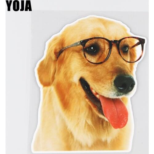YOJA 16.4×13.4CM Golden Retriever With Glasses Fashion Rear Windshild Decor Car Stickers Decals 19B-0039