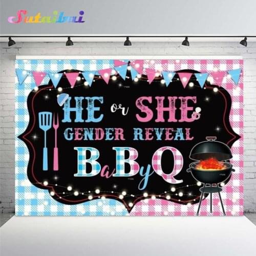 Gender Reveal Party Background He or She Boy or Girl Baby Shower Birthday Blue or Pink BBQ Theme Photography Backdrops Studio