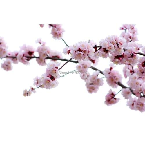 Фрезы SHENGXI China At AliExpress