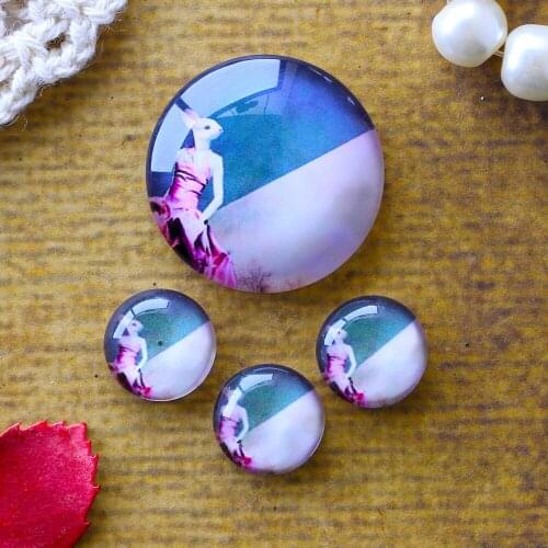 12mm 25mm 14mm 16mm 18mm 20mm Photo Glass Cabochons Round Cameo Set Handmade Settings Stone Rabbit 03
