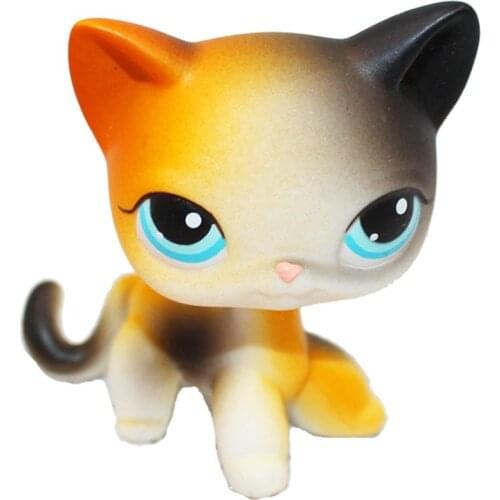 LPS CAT Real Rare Littlest pet shop cute toys cat Black Orange Short Hair standing Rainbow Blue Eyes Kitty Siamese White