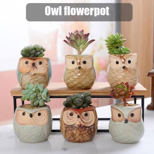 6pcs/set Mini Ceramic Owl Succulent Plants Bonsai Pots Flower Home Office Desk Decor
