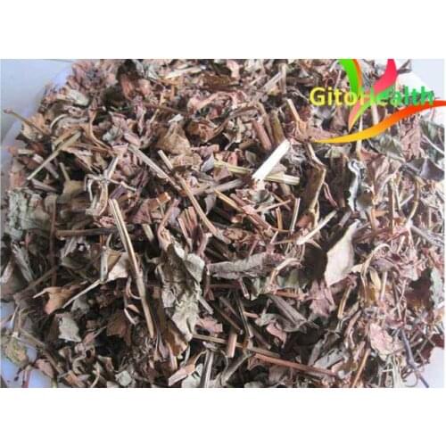 Houttuynia cordata (Houttuynia cordata Thunb.) enhances the disease resistance of human body