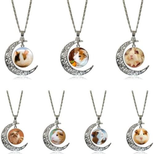 EJ Glaze Brand Silver Color Jewelry Fashion Moon Statement Necklace Glass Necklaces & Pendants For Girls Gifts Guinea Pig