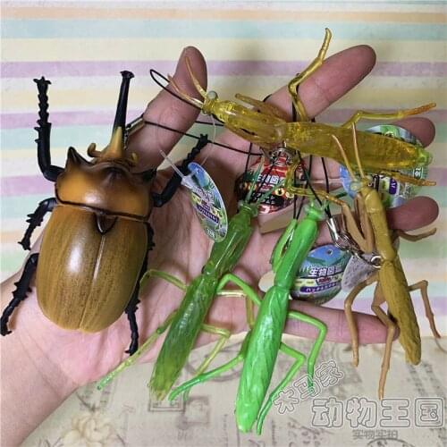 Pvc figure Praying mantis beetlee unicorn simulation insect animal model toy pendant 5pcs/set