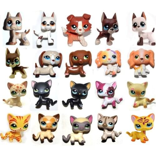 Short Hair Siamese Cat Collie Great Dane Daschoud Dogs Puppy Animal Toy Action Figure Collections