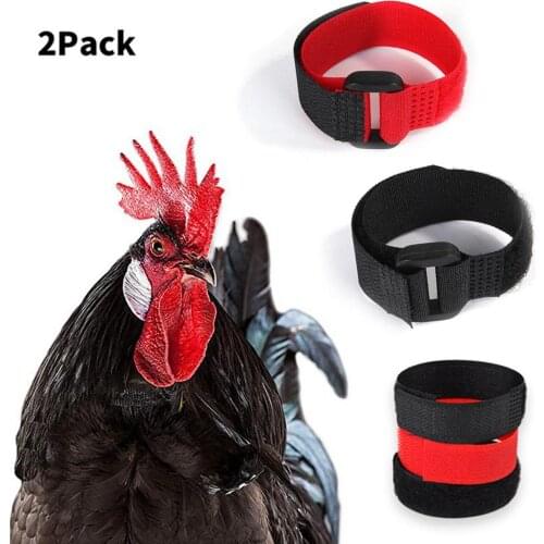 2pcs No Crow Collar for Roosters No Crowing Belt Neckband Poultry Supplies Neckband Anti Hook Neck Belt for Cockerel
