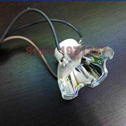 REPLACEMENT PROJECTOR LAMP/BULB FOR LIESEGANG DV 900/DV900