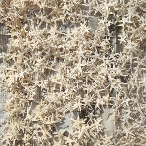 100pcs 1.8-3cm white Mini Starfish Craft Decoration Natural crafts Sea Stars DIY Beach Cottage Wedding Decor hot new