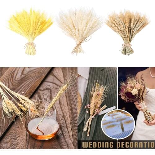 100Pcs 20 Inch Real Wheat Ear Flower Natural Dried Flowers For Wedding Home Party Decoration DIY Craft Scrapbook Wheat Bouquet