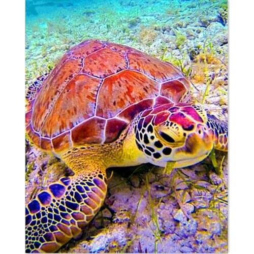 Full Square/Round Drill 5D DIY Diamond Painting "Animal Sea Turtle" 3D Rhinestone Embroidery Cross Stitch 5D Home Decor