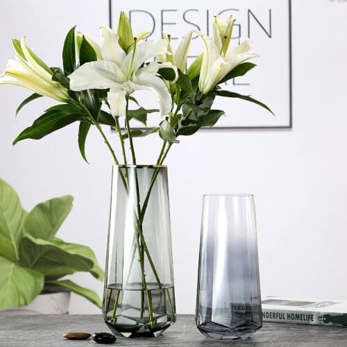 Olevo Glass Flower Vases