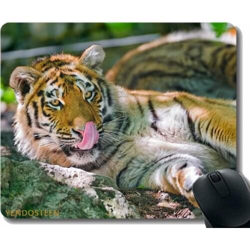 Personalized Mouse Pad,Tiger Licking Big Cat Tongue Lie 59408 Mouse Pad Mat